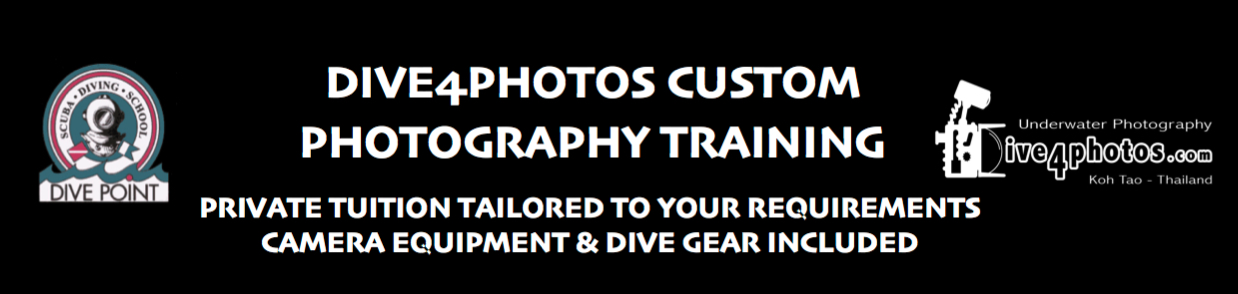 Dive4Photos-Custom-Photography-Training