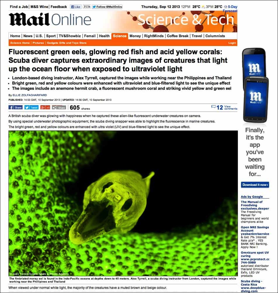 Daily Mail Online 12 Septmber 2013 Fluorescent Green Eel