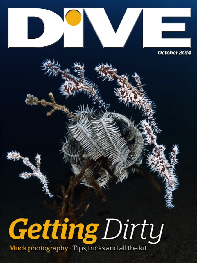 DIVE Magazine Cover July 2014