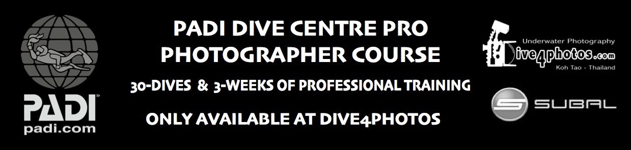 PADI-Dive-Centre-Pro-Photographer-Course