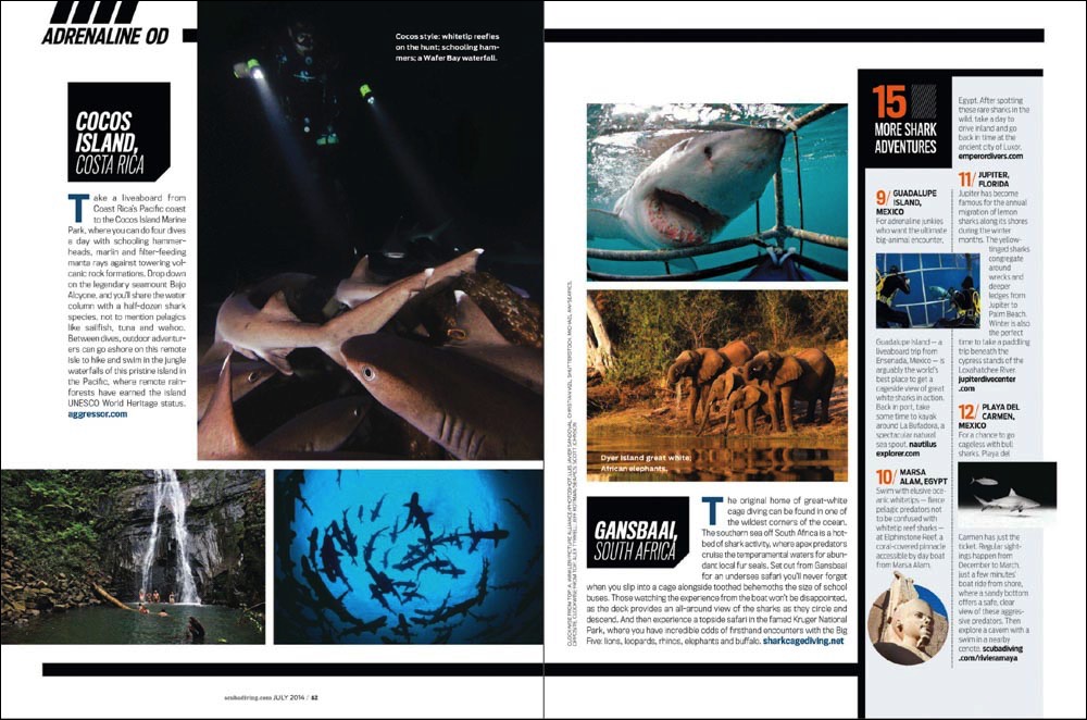 SCUBA Diving Magazine Sharks Issue July 2014