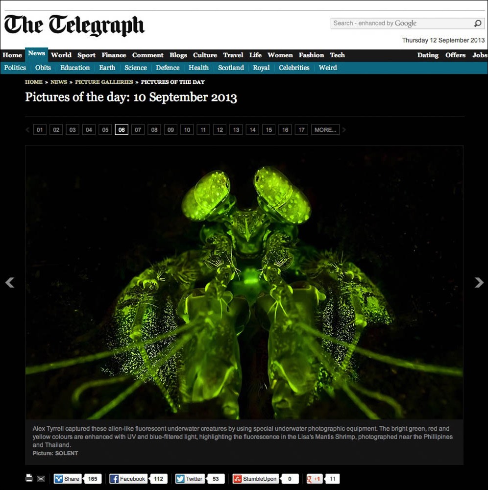The Telegraph Photo of the Day 10 September 2013