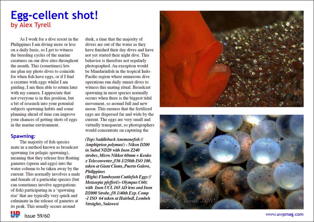 UWP Issue 59 Egg-cellent Shot!