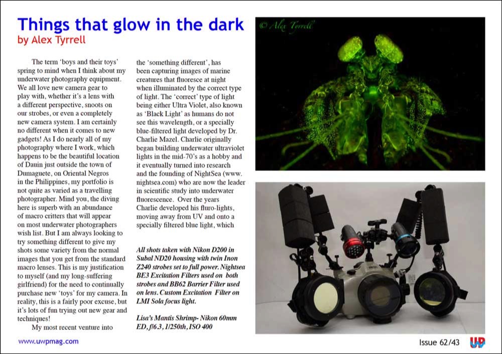 UWP Issue 62 Things That Glow In The Dark