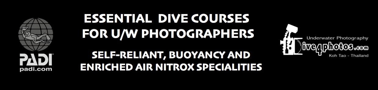 Essential-Dive-Courses-For-UW-Photograhers