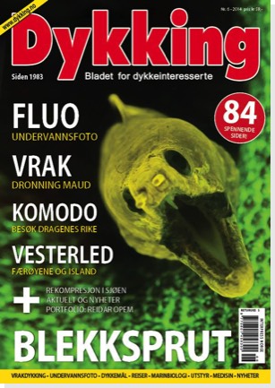Dykking-Fluo-Eel-Dec-2014-Cover