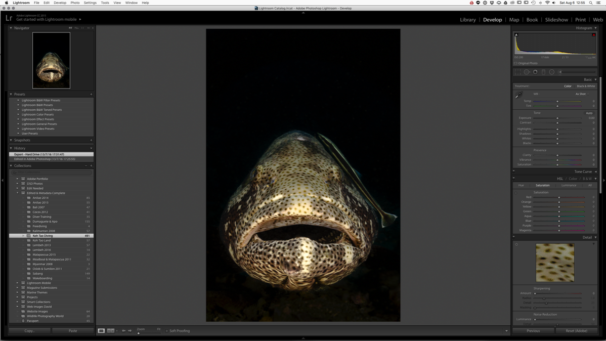 Underwater-Photo-Editing-Course-Using-Adobe-Lightroom-CC