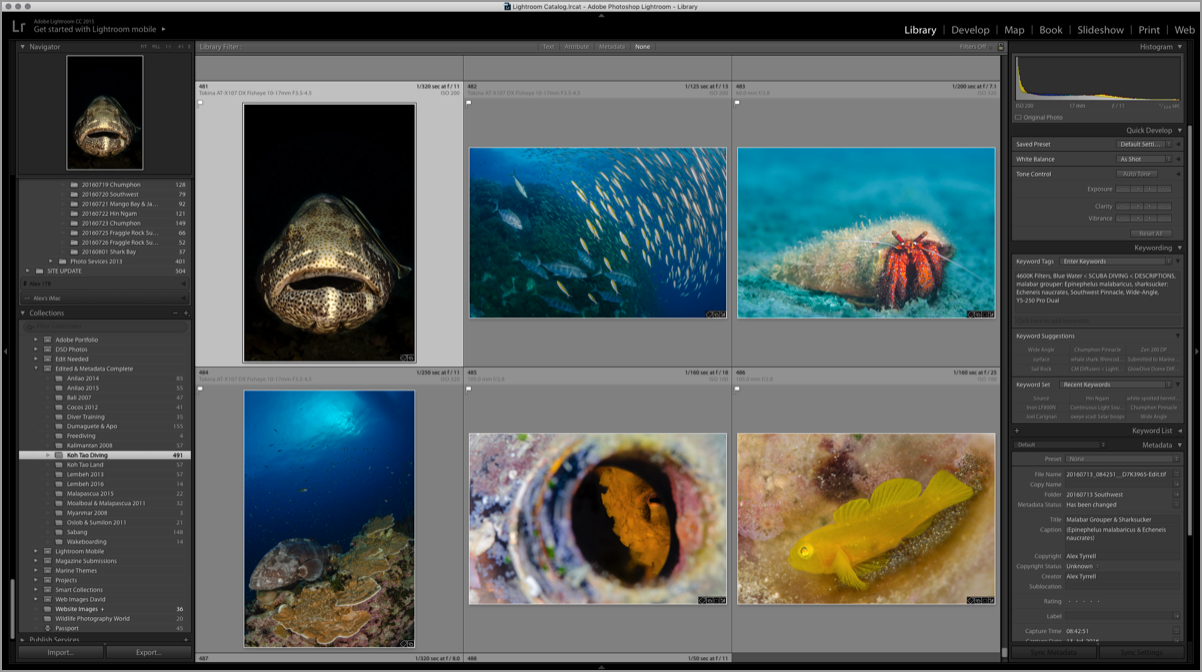 Underwater-Photo-Editing-Course-Using-Adobe-Lightroom-CC