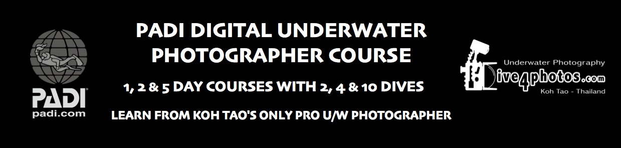 PADI-Digital-Underwater-Photographer-Course
